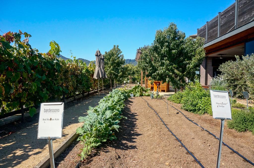 Bardessono Hotel And Spa Yountville Ngoại thất bức ảnh